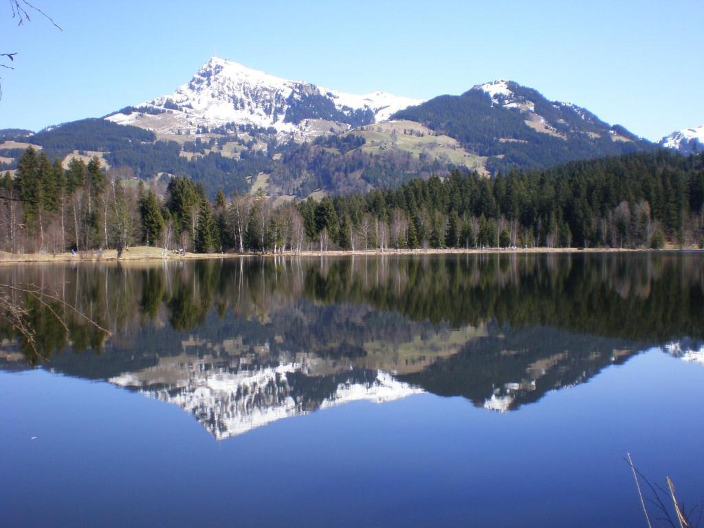 Grillinghof Kirchberg in Tirol Exterior foto
