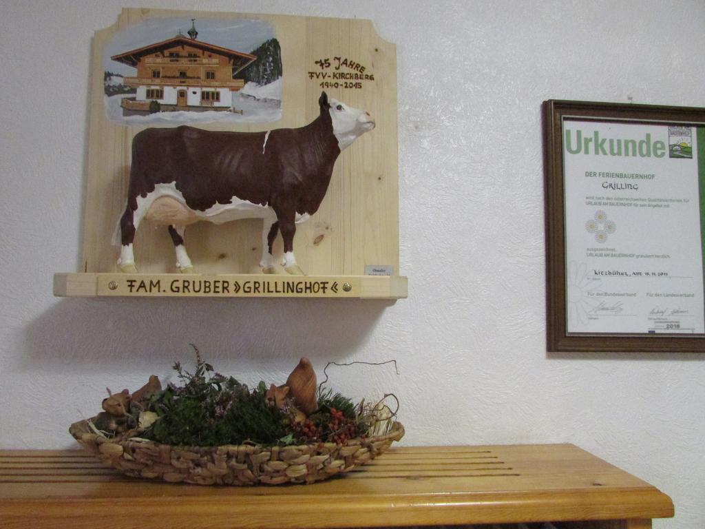 Grillinghof Kirchberg in Tirol Exterior foto